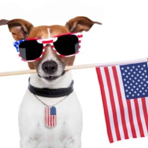 Fireworks Safety Month