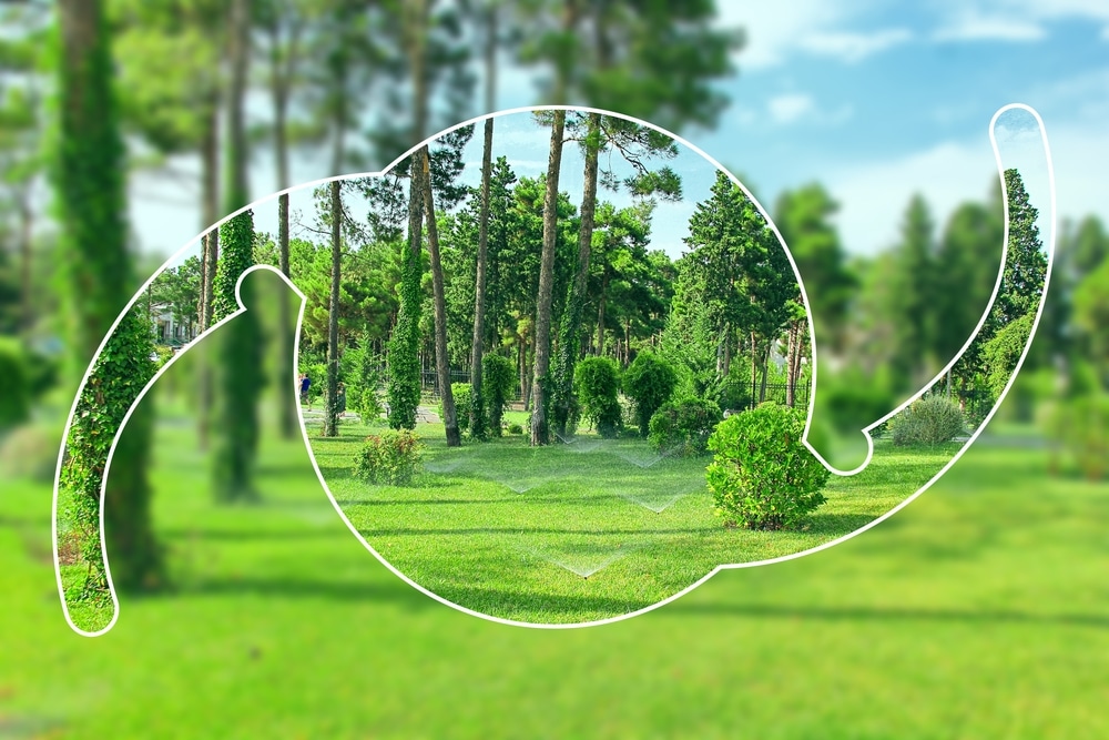 An image of a Light Adjustable Lens, superimposed over a vibrantly green forest, revealing sharp, well-lit vision